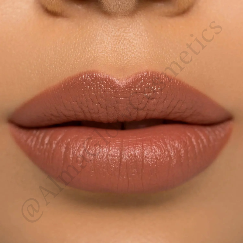 I need a nude lipstick (Natasha denona)