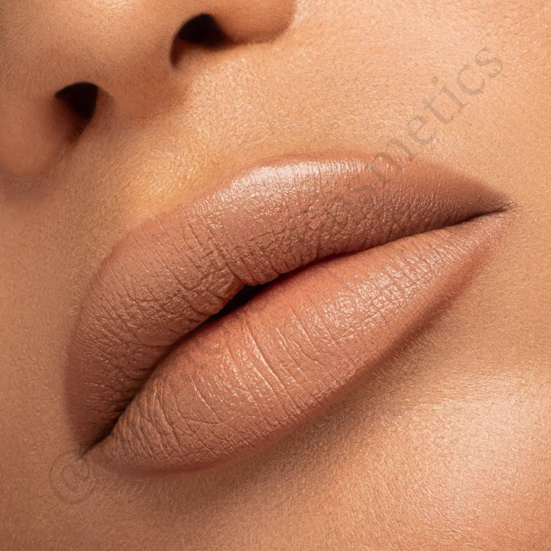 I need a nude lipstick (Natasha denona)
