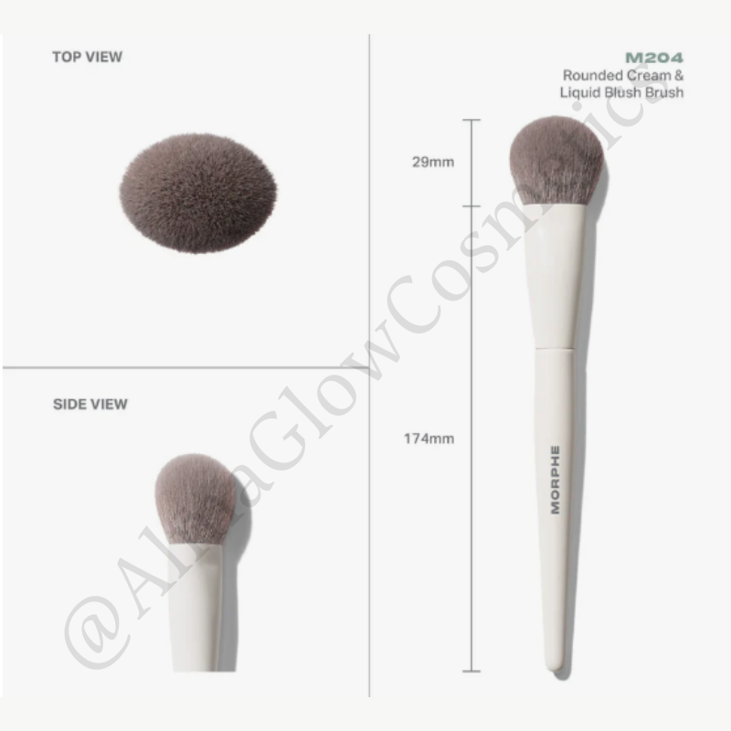 Brocha M204 (Morphe)